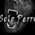 solo perro