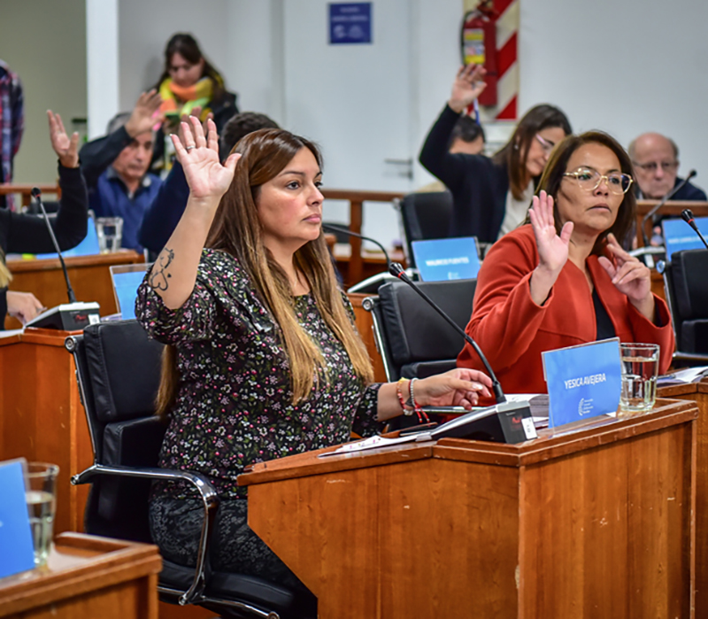 Avejeradurante una votación del Consejo Deliberante.