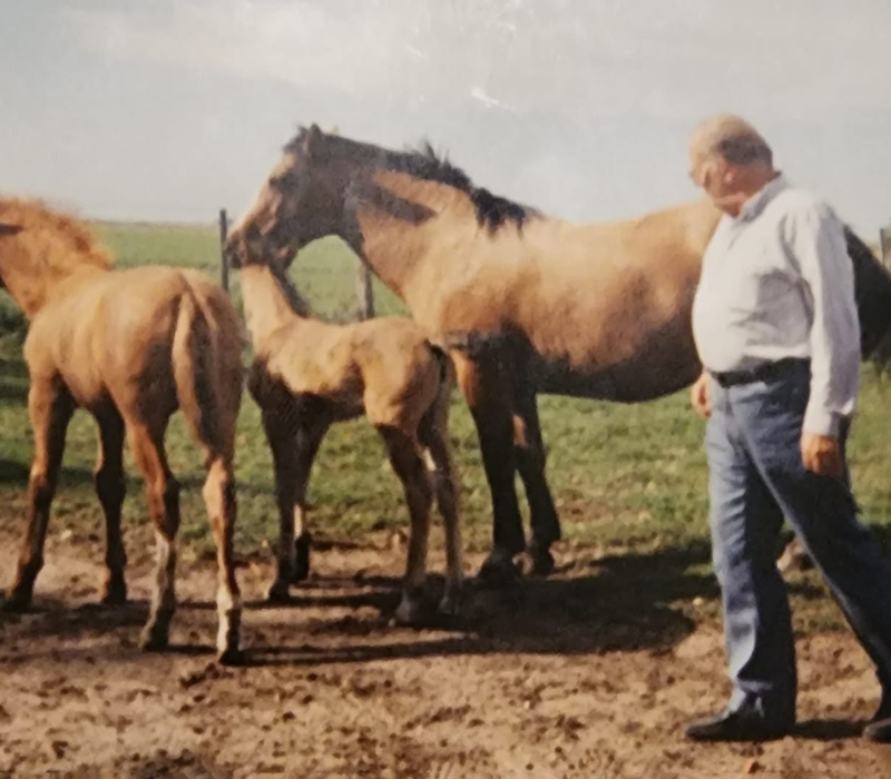 Legaria frente a un caballo y sus dos potrillos