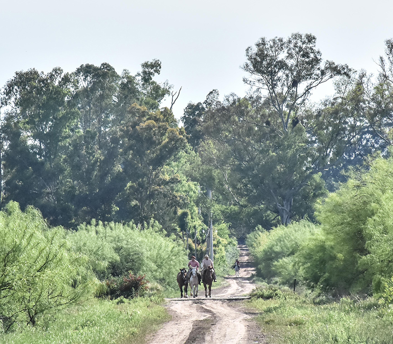 El camino a Las Vizcacheras se recorre a lomo de caballo