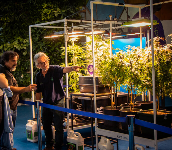 gente visitando el stand de cannabis en la Fiesta Nacional de la Flor