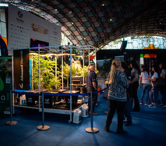 gente visitando el stand de cannabis en la Fiesta Nacional de la Flor