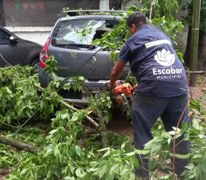 empleados municipales podando los árboles caídos con motosierras
